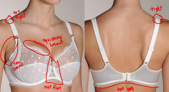 Step by Step : Your Guide To Learn How To Wear Your Bra Correctly