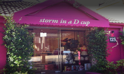 Storm in a D Cup Lingerie Boutique outside View