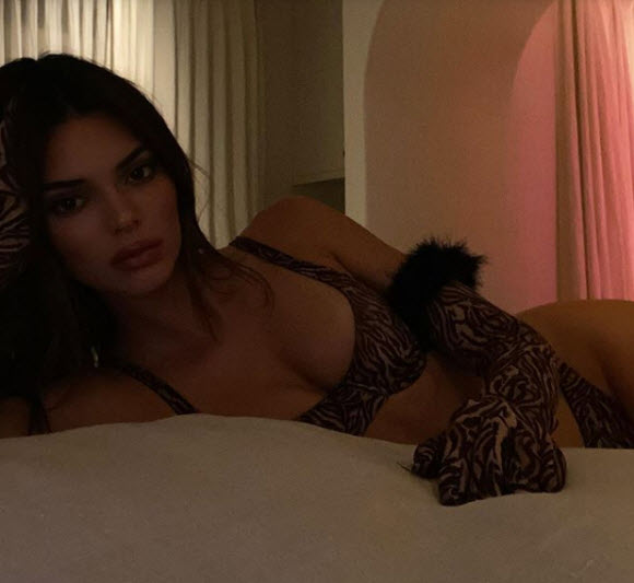Kendall Jenner Bet For The Lingerie For A Session With Kylie