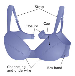 Construction and manufacturing of bra Bra - Construction and manufacturing