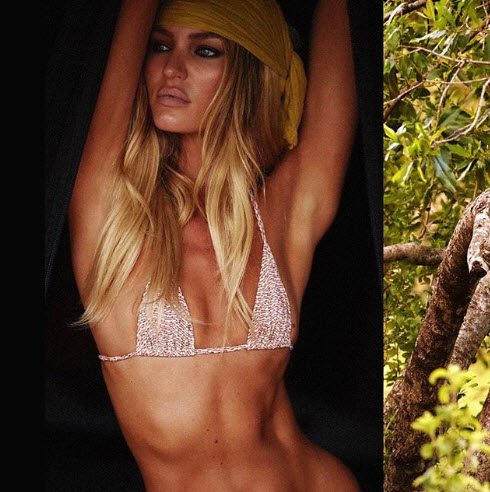 Candice Swanepoel’s Poses Sexy In Leopard-Print Bikini Candice Swanepoel’s Poses Sexy In Leopard-Print Bikini